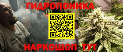 бутират Кингисепп